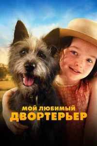 m1m0il1 vnlю10c9uʍӹil1 ldo10100rhτerhberh