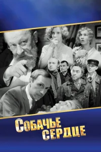 C010c9ojkchcbe сerhldottse