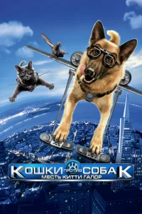 K0ɯku nrh0τu1010 с010c9ojkk: m1meсτb Kuττu glsojkvnl0rh