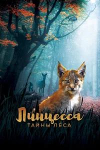 l1lukvjttseссojk. Tojkil1kvjӹ vnleсojk